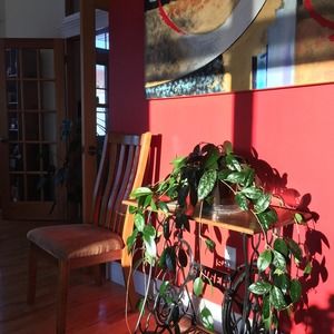 Meet your Posher, Debbie